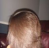 hair1.jpg