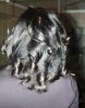 Twistout Mommy Flat Iron 025.jpg