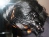 Twistout Mommy Flat Iron 027.jpg