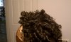 Flexi-rod set.jpg Flexi-rod set.jpg