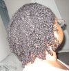 Curl orgin resized.jpg