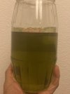 Fenugreek Rosemary Clove Oil Batch 3 Aug 31st 2024 C.jpg