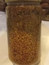 Too Many Seeds .jpg
