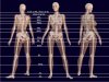 Nonie's Hair Length Approximation Chart.jpg