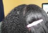 hair 015.jpg