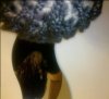 2010-05-13 23.00.11.jpg