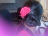 hair stick success.jpg
