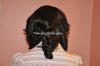 1strenieceweave15-vi.jpg