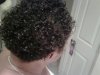 curlyfro April-May 2009.jpg