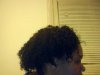 Snapshot_20101229.jpg