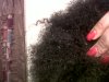 hair1.jpg