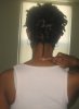 Length From Back End of 2010.JPG