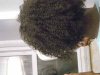 Hair0110006.jpg