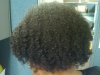 Hair pic 2_2010.09.jpg