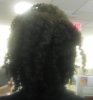 Twist out pony 006.jpg