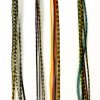 image_Feather.jpg