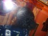 27 mar 2011 small pony 004.JPG