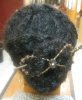 Today hair 3 29 2011 001.jpg