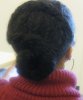 Today hair 3 29 2011 004.jpg