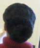 Today hair 3 29 2011 005.jpg