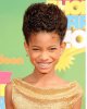 1301828425willow_teeny1.jpg