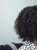 twistout2 04-18-11.jpg