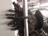 IMG00337-20100806-1756.jpg