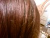 IMG00961-20110515-1152.jpg