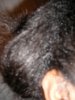 DSCF1322.jpg