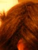 DSCF1324.jpg