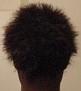 back[1].jpg