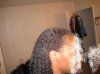 HairSheridanHenna 091.JPG HairSheridanHenna 091.JPG