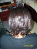 Octhair07.jpg