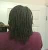 Twists 2.jpg