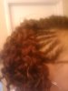 side of cornrows.jpg side of cornrows.jpg