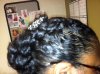 french braid2.JPG