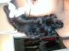 2011-06-02 13.40.18.jpg