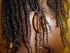 braids1.jpg