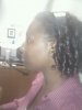 flexi rod.jpg