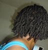 twists nov 2011.JPG
