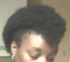 Fro hawk 2.jpeg
