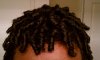 Finger coils top.jpg