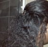 Braidout2 Jan 2012.jpg