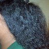 Braidout3 Jan 2012.jpg