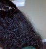 Braidout5 Jan 2012.jpg