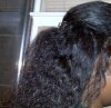 Braidout Jan 2012.jpg