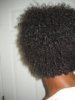 BigChop1.jpg