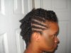 Twist Hawk1.jpg