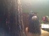 201201-23_aftChop1.jpg