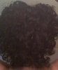 foamcurlersafter-back2.JPG